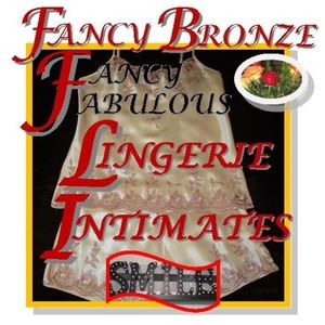 💖💥FANCY BRONZE FABULOUS LINGERIE and INTIMATES